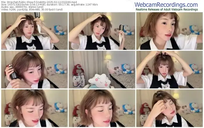 stripchat-onekitty-02-12-2025-03-22-46