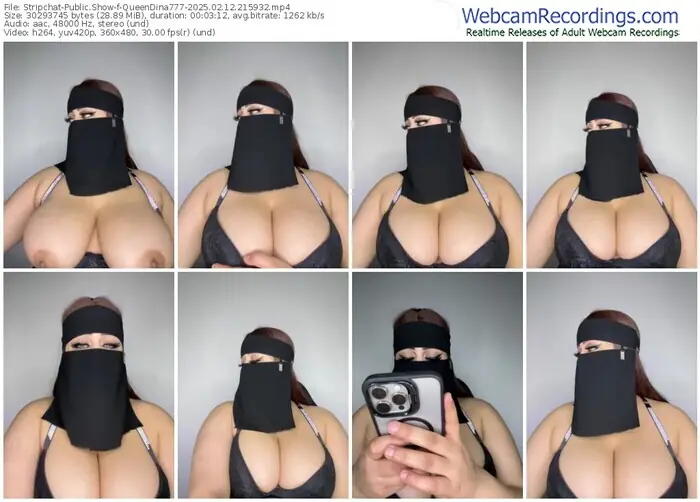 stripchat-queendina777-02-12-2025-21-59-32