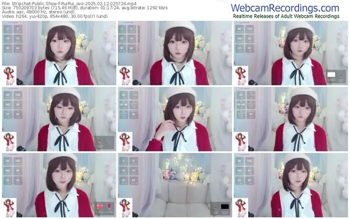 stripchat-ruirui_ovo-02-12-2025-02-57-26