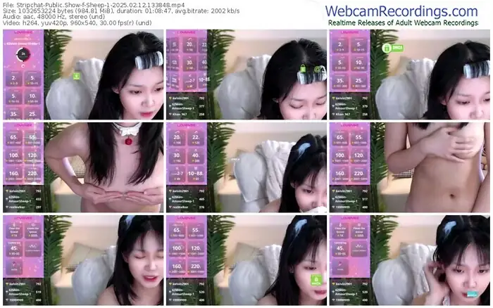 stripchat-sheep-1-02-12-2025-13-38-48