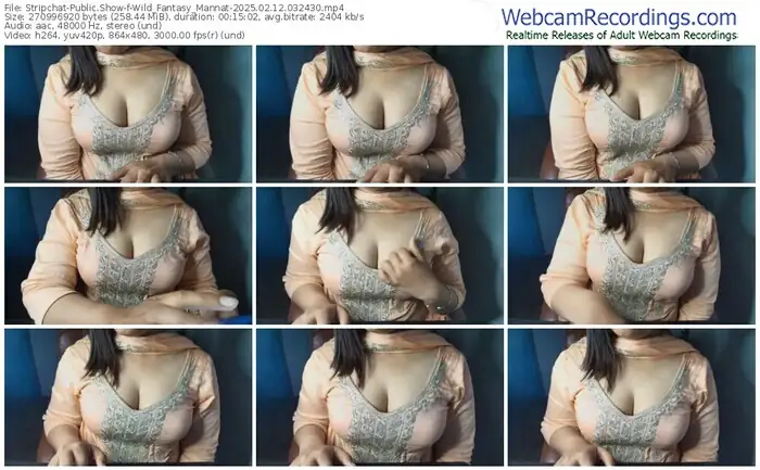 stripchat-wild_fantasy_mannat-02-12-2025-03-24-30
