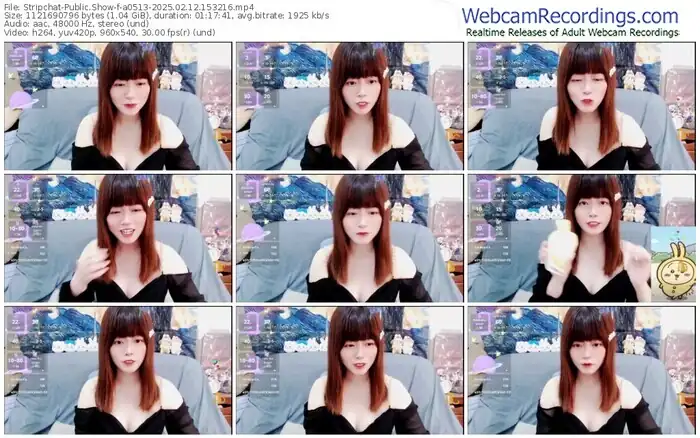 stripchat-a0513-02-12-2025-15-32-16