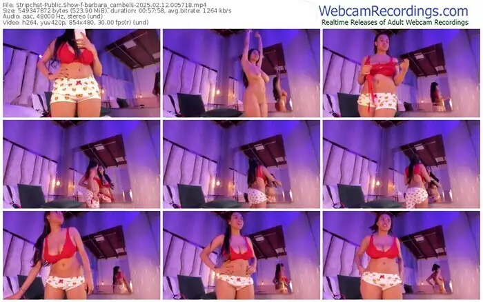 stripchat-barbara_cambels-02-12-2025-00-57-18
