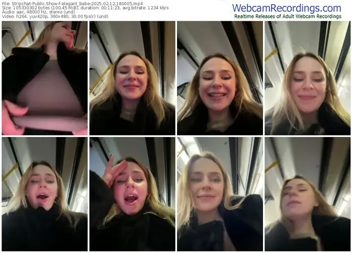 stripchat-elegant_babe-02-12-2025-18-00-05