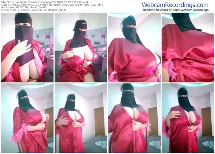 stripchat-sosoarabe123-02-12-2025-08-11-30