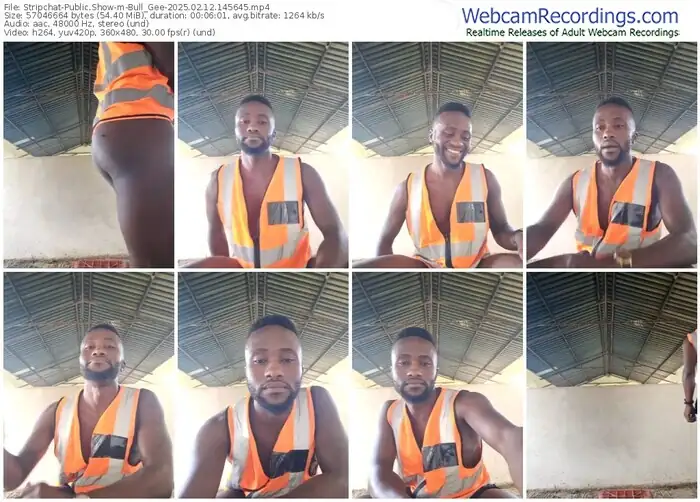 stripchat-bull_gee-02-12-2025-14-56-45