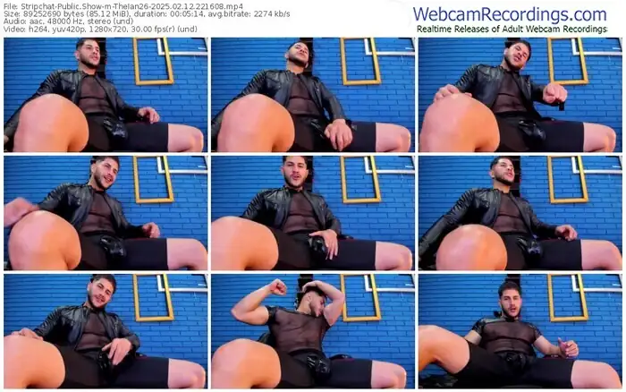 stripchat-theian26-02-12-2025-22-16-08