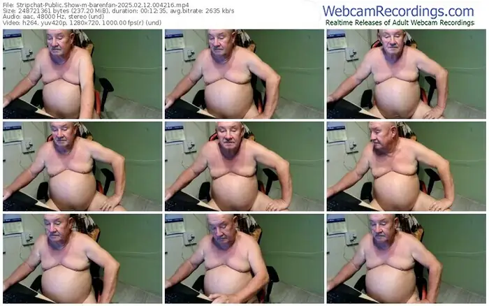 stripchat-barenfan-02-12-2025-00-42-16