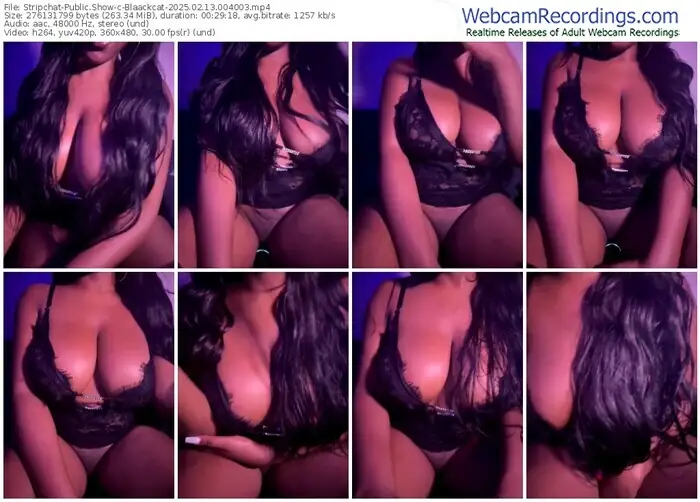 stripchat-blaackcat-02-13-2025-00-40-03