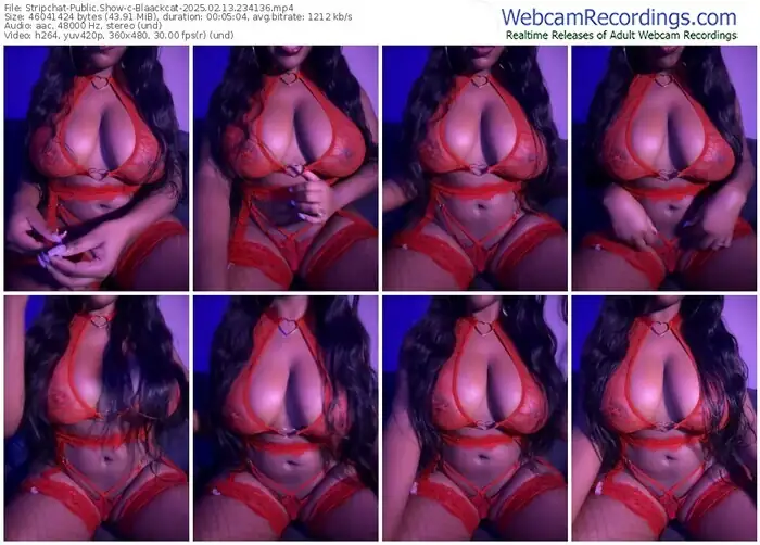 stripchat-blaackcat-02-13-2025-23-41-36
