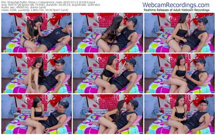 stripchat-companions_room-02-13-2025-21-02-10