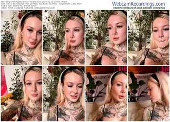 stripchat-stella-kink-02-13-2025-17-00-43