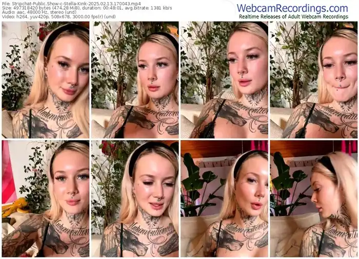 stripchat-stella-kink-02-13-2025-17-00-43