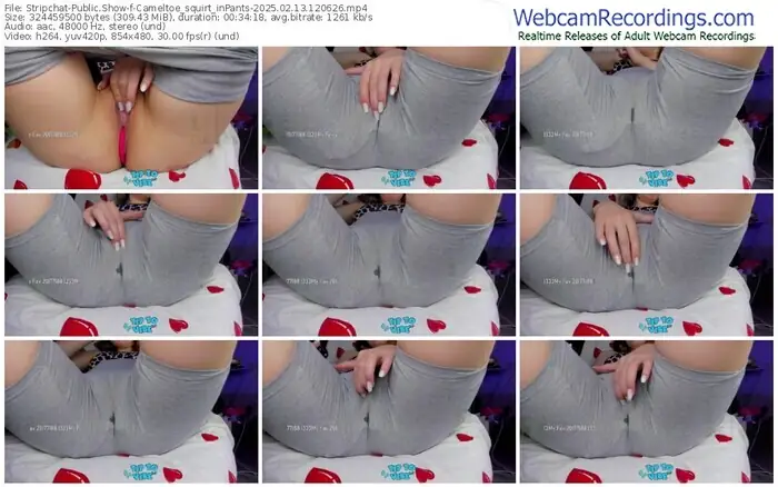 stripchat-cameltoe_squirt_inpants-02-13-2025-12-06-26