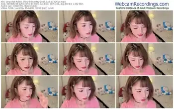 stripchat-onekitty-02-13-2025-16-25-14