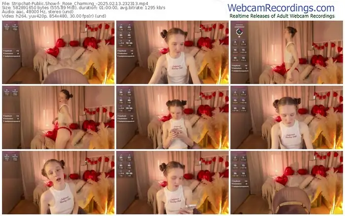 stripchat-_rose_charming_-02-13-2025-23-23-13