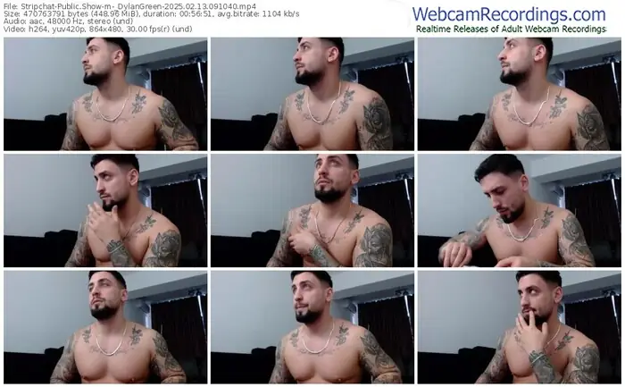 stripchat-_dylangreen-02-13-2025-09-10-40