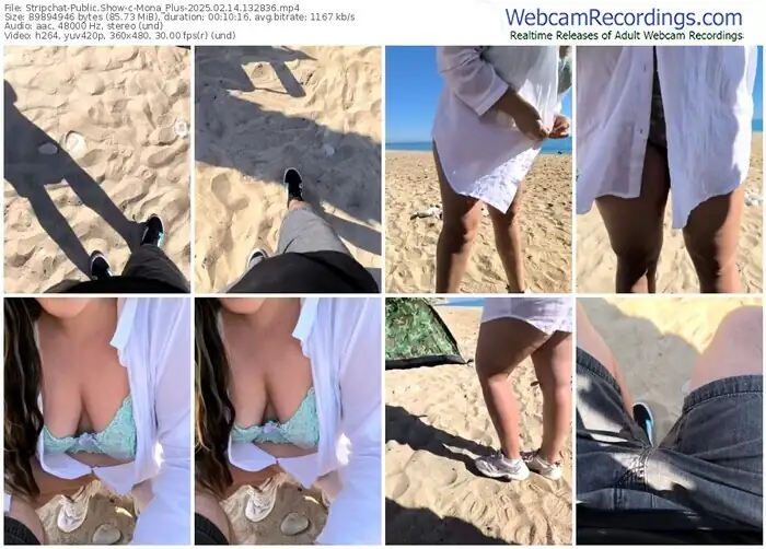 stripchat-mona_plus-02-14-2025-13-28-36