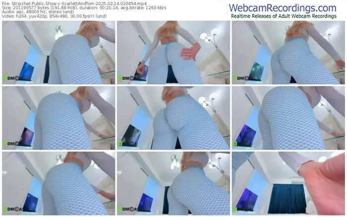 stripchat-scarlettandtom-02-14-2025-02-04-54