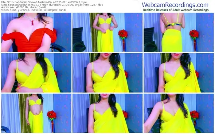 stripchat-aashika-kaur-02-14-2025-03-53-48