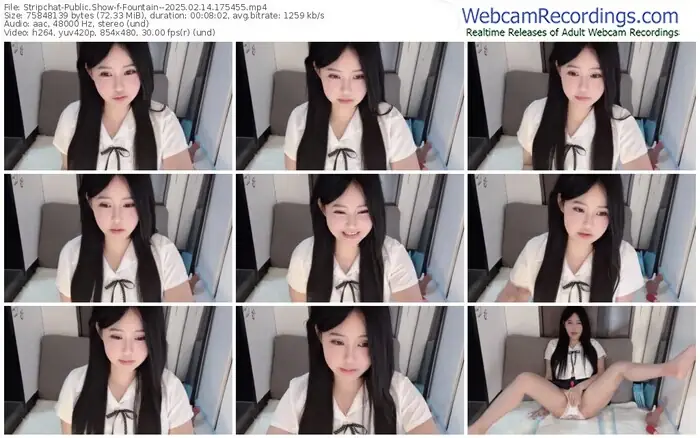 stripchat-fountain--02-14-2025-17-54-55