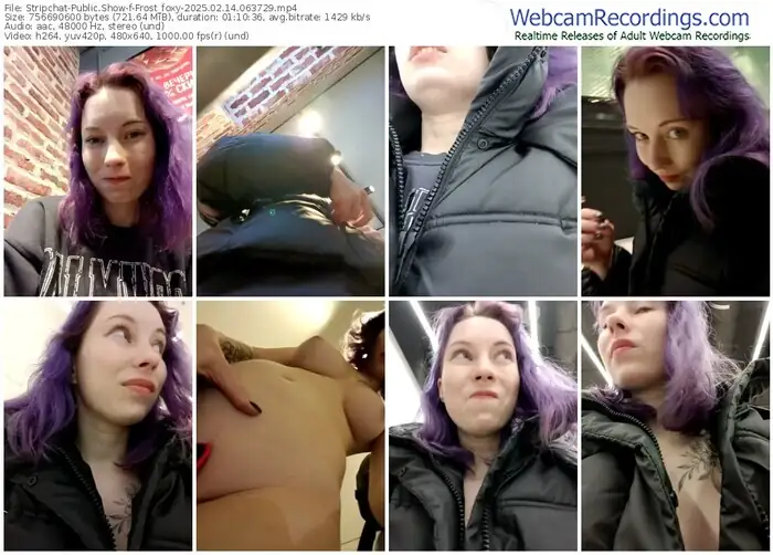 stripchat-frost_foxy-02-14-2025-06-37-29