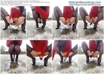 stripchat-linda_2k-02-14-2025-03-30-46