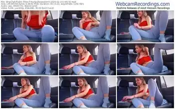 stripchat-yourguiltypassionn-02-14-2025-14-41-32