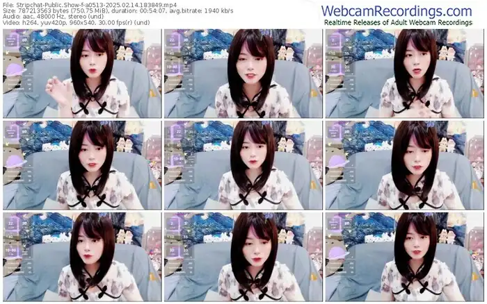 stripchat-a0513-02-14-2025-18-38-49