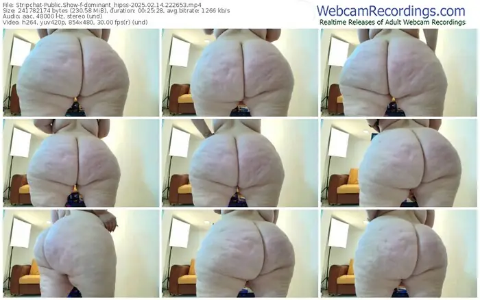 stripchat-dominant_hipss-02-14-2025-22-26-53