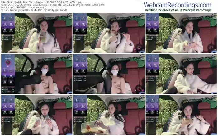 stripchat-newwell-02-14-2025-20-14-35