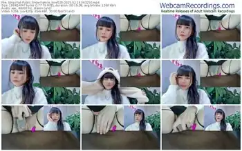 stripchat-smile_love520-02-14-2025-06-32-50