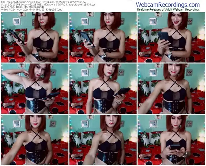 stripchat-hothornyasian-02-14-2025-08-50-28
