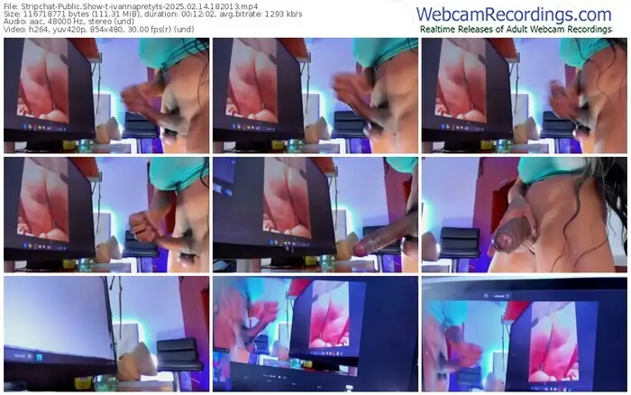 stripchat-ivannapretyts-02-14-2025-18-20-13