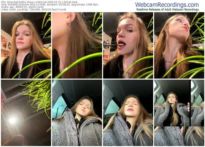 stripchat-kittecat-02-15-2025-13-25-39