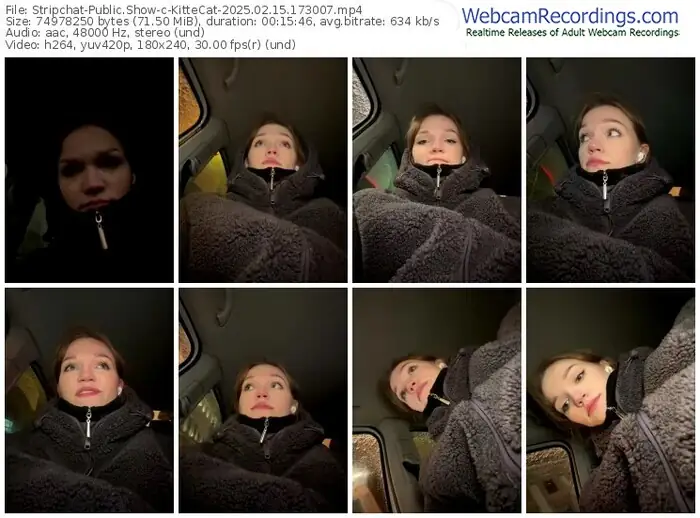 stripchat-kittecat-02-15-2025-17-30-07