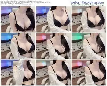 stripchat-eva-public-02-15-2025-19-54-06