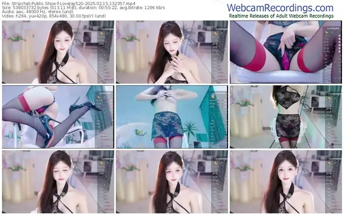 stripchat-lovejay520-02-15-2025-13-23-57