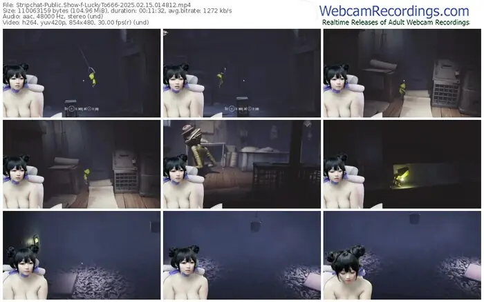 stripchat-luckyto666-02-15-2025-01-48-12