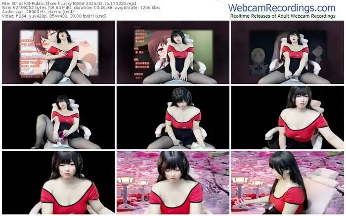 stripchat-luckyto666-02-15-2025-17-32-20