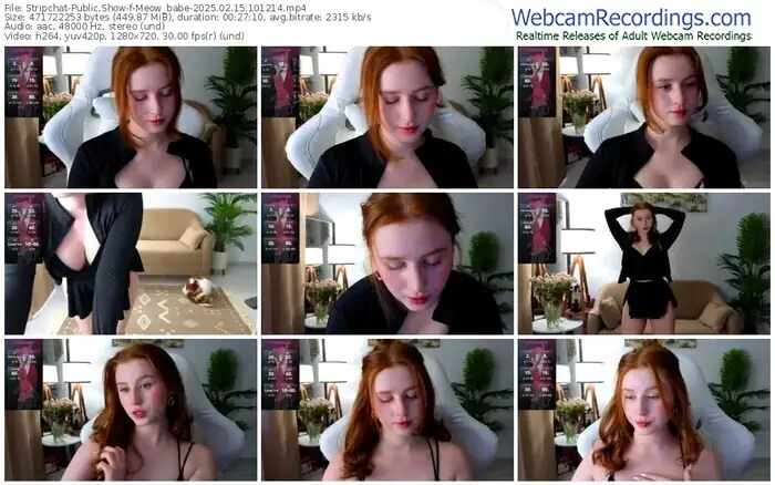 stripchat-meow_babe-02-15-2025-10-12-14