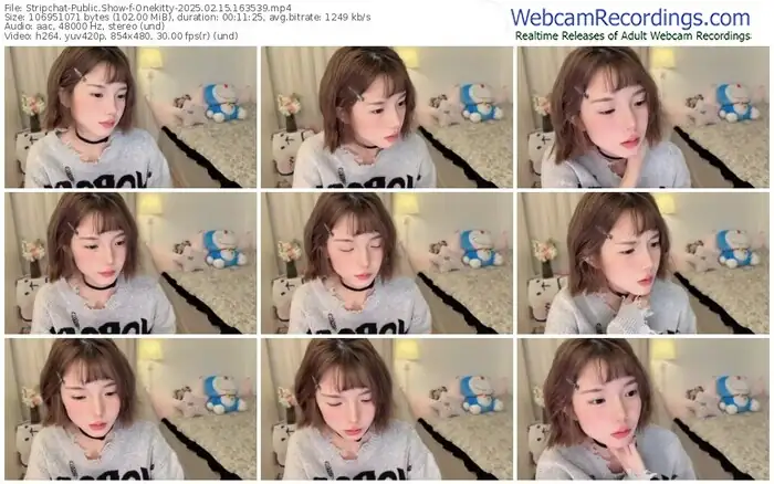 stripchat-onekitty-02-15-2025-16-35-39