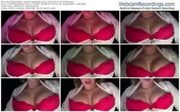 stripchat-laraleahcee12-02-15-2025-00-55-09