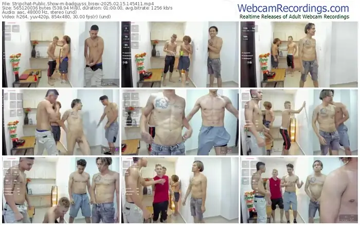 stripchat-badguyss_bisex-02-15-2025-14-54-11