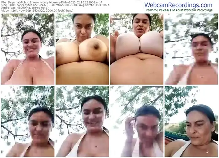 stripchat-horny-mommy-dirty-02-16-2025-22-29-08