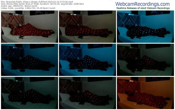 stripchat-dream_fulfilled-02-16-2025-07-21-40