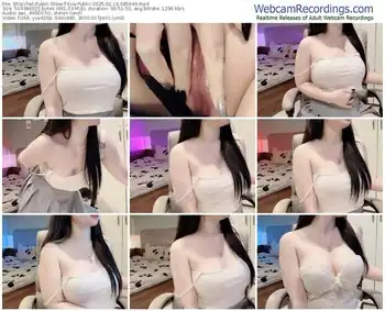 stripchat-eva-public-02-16-2025-08-56-49