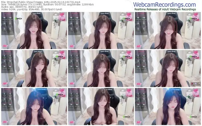 stripchat-happy_kitty-02-16-2025-16-17-31