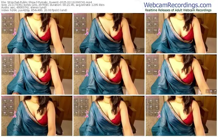 stripchat-punjabi_queen1-02-16-2025-09-07-41