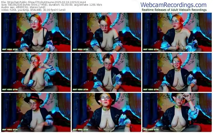 stripchat-trickykitsune-02-16-2025-16-15-22
